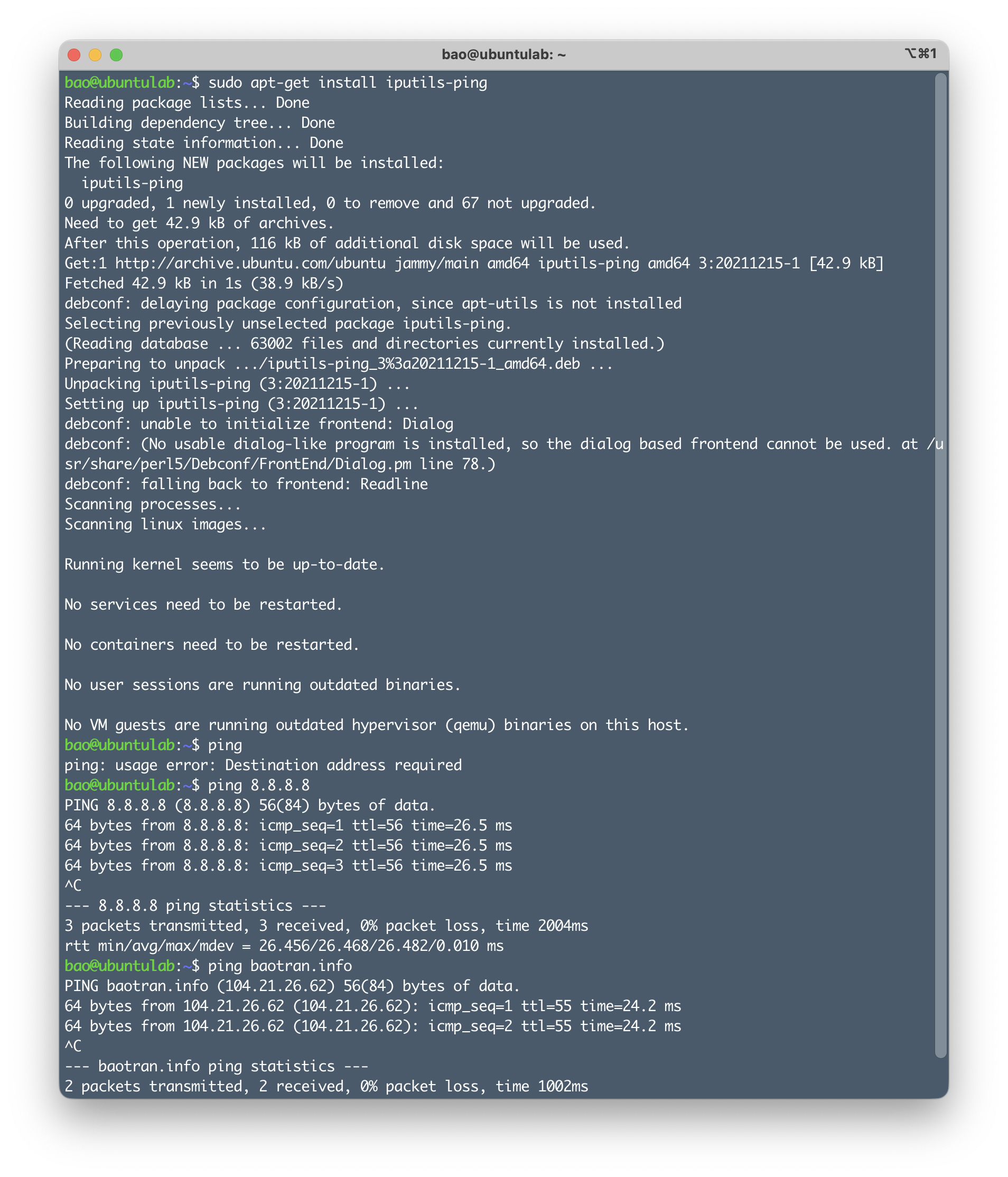 Sửa lỗi bash: ping: command not found Ubuntu 20.04 - How to fix bash: ping: command not found Ubuntu 20.04